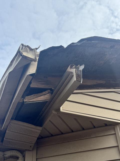 Roof Replacement and All eaves 