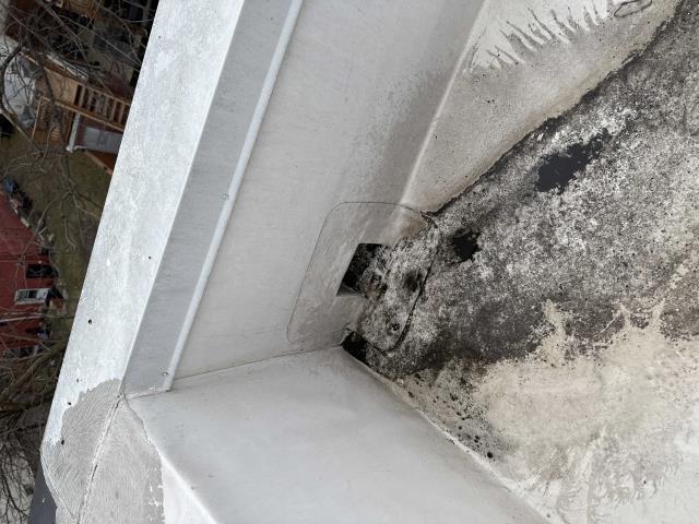 Gutter cleanings on 3 attached townhomes and a roof inspection since one of the units has a leak