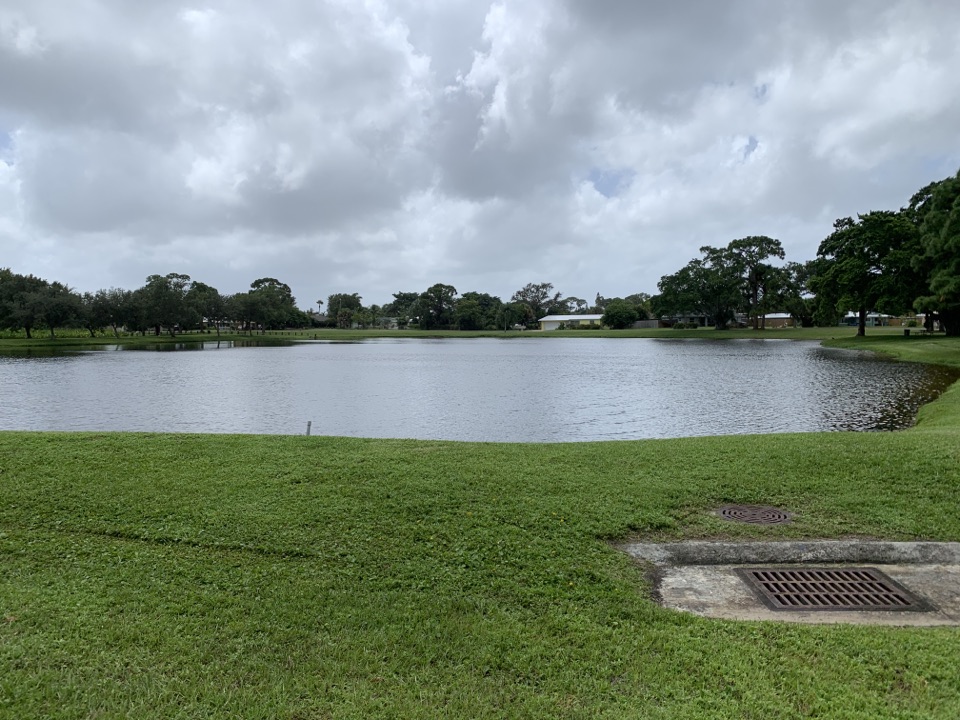 Termite treatment right next to this beautiful pond