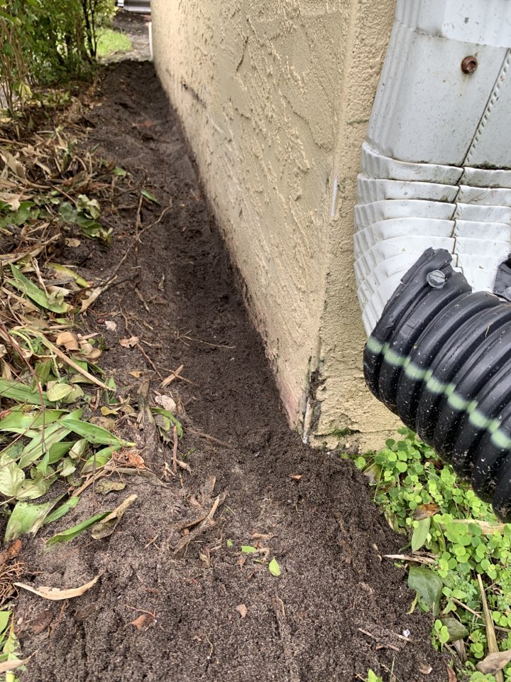 Termites Jensen Beach Florida