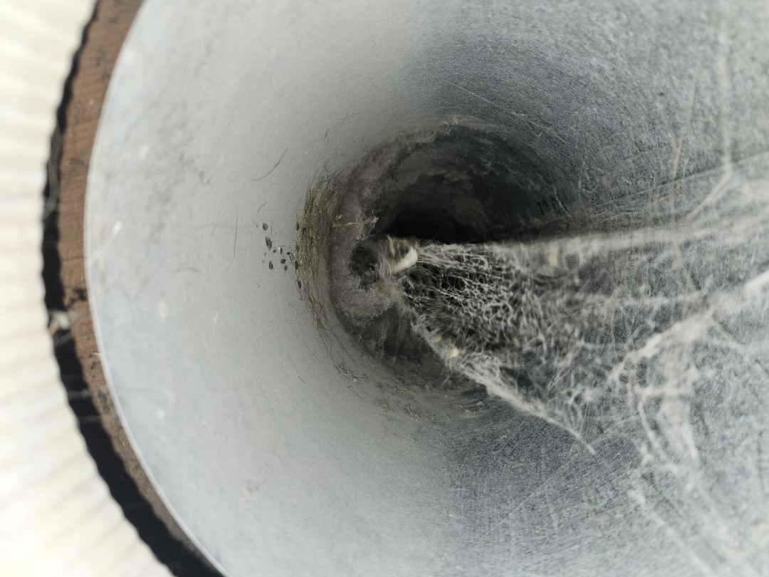Duct cleaning on trane furnace