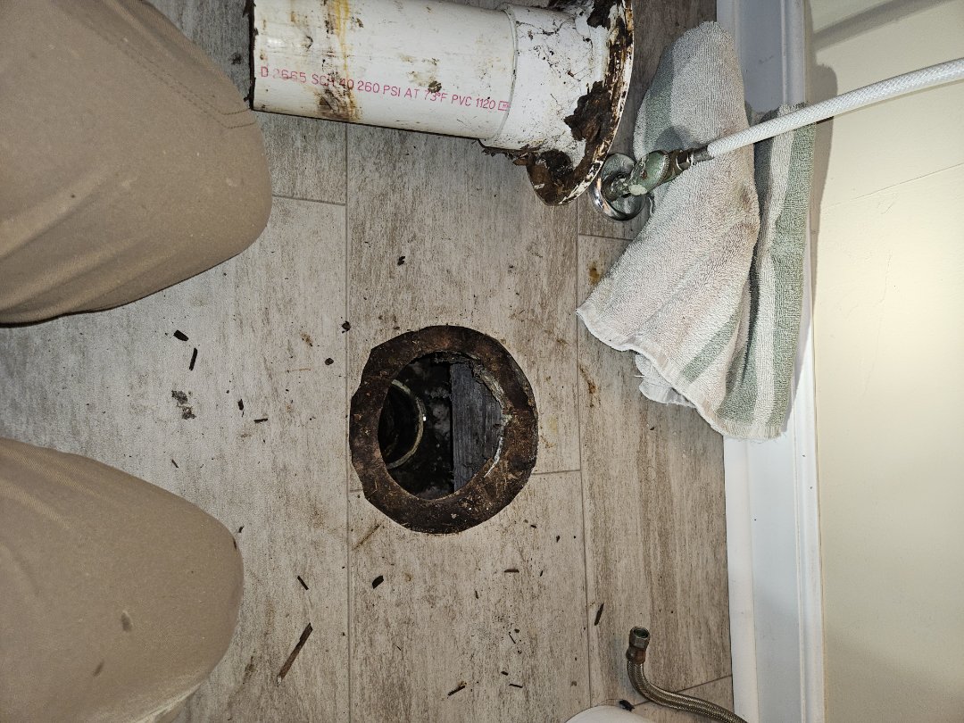 Toilet flange repair