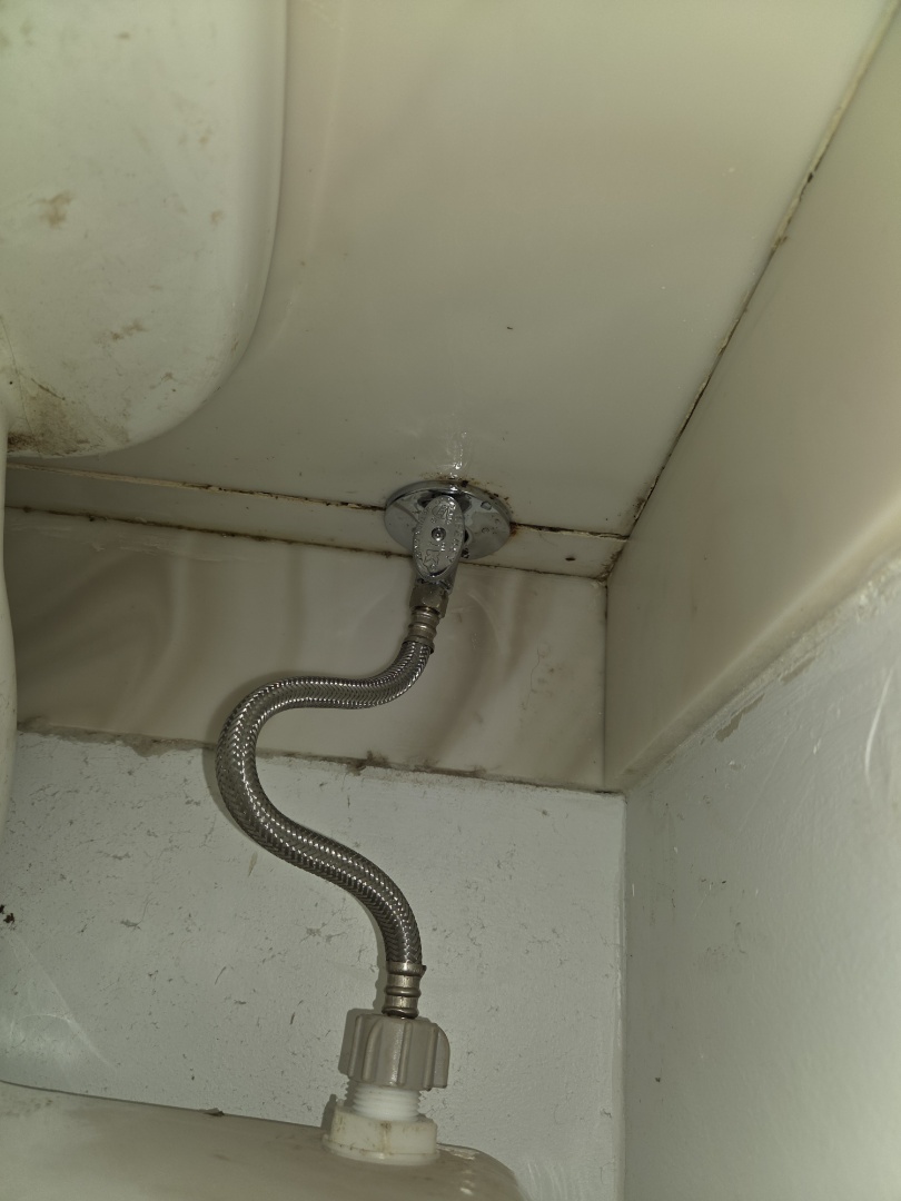 Toilet repair