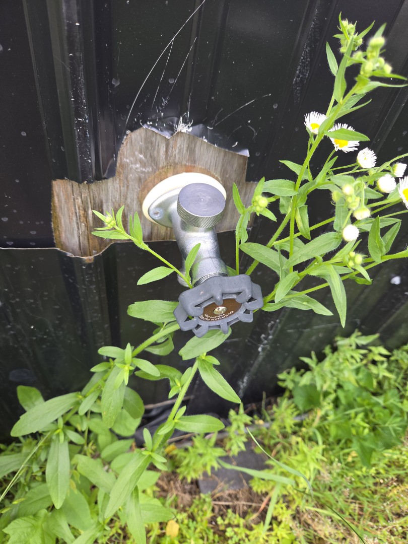 Hose spigot replacement 