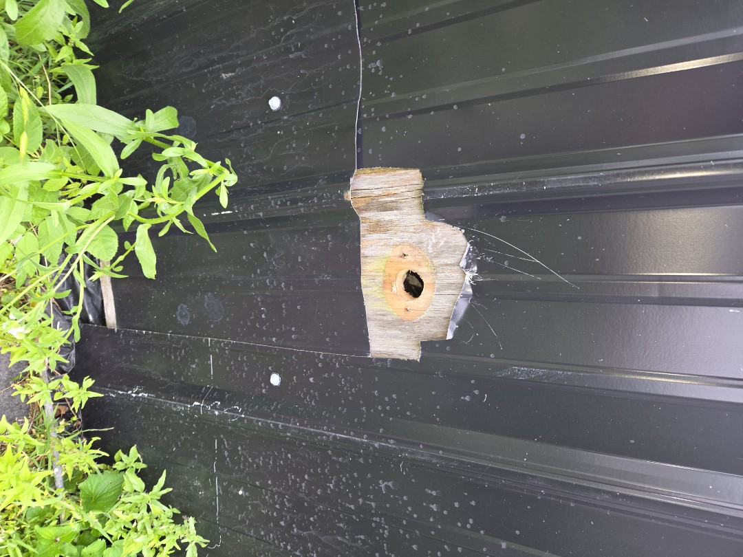 Hose spigot replacement 