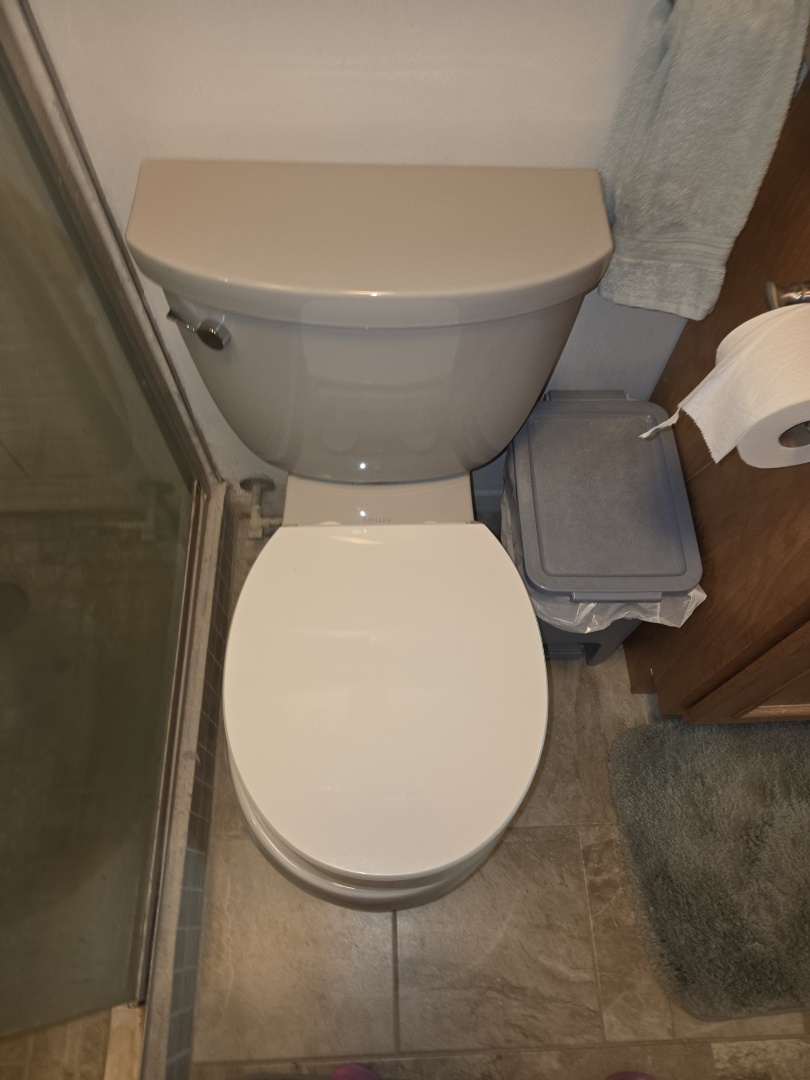 Toilet repairs