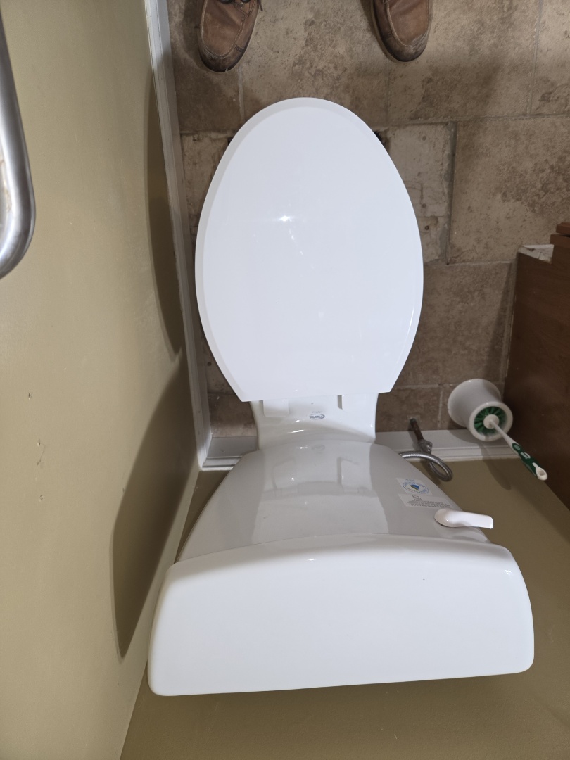Toilet flange repairs