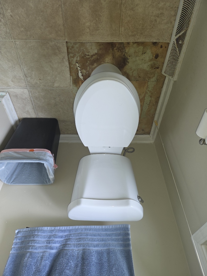 Toilet repair
