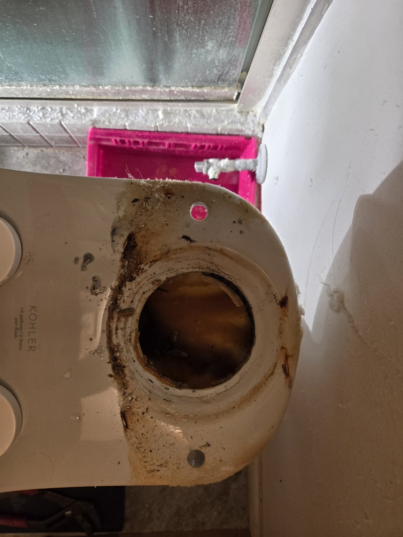 Toilet repairs