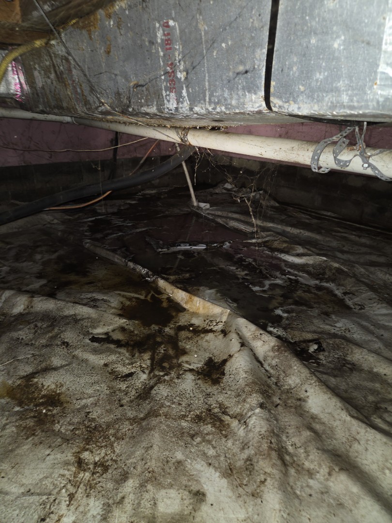 Water leak