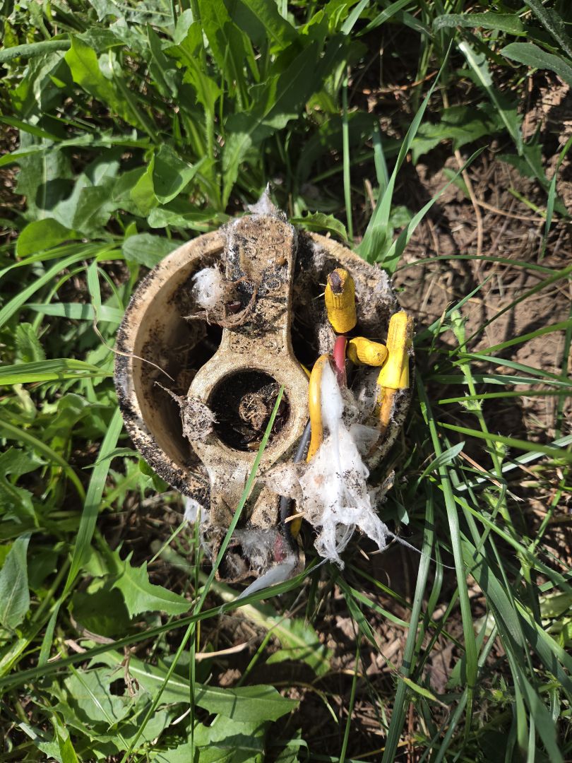 Well pump replacement 