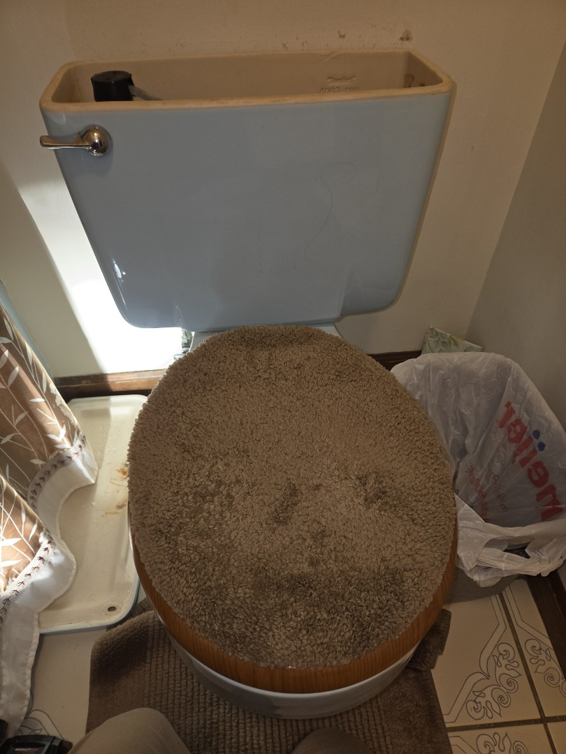 Toilet replacement