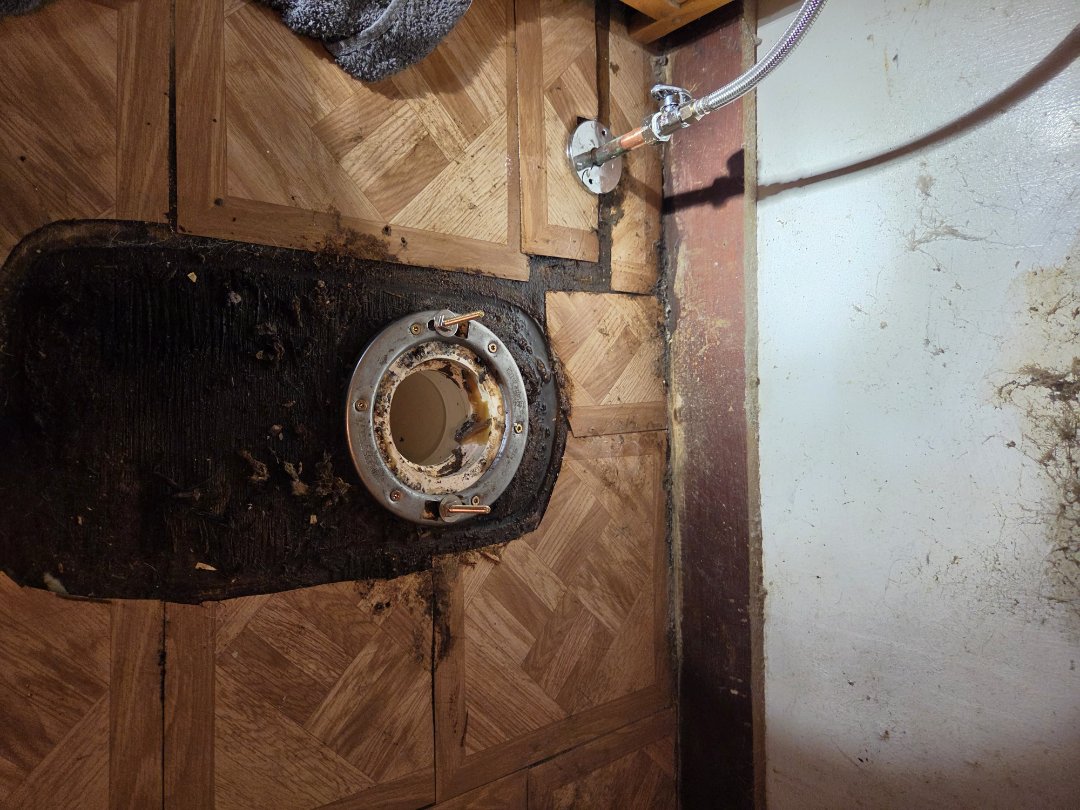 Toilet flange repair