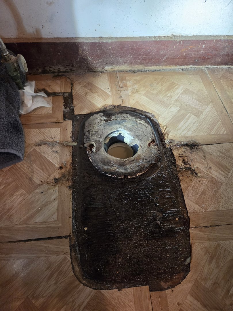 Toilet flange repair