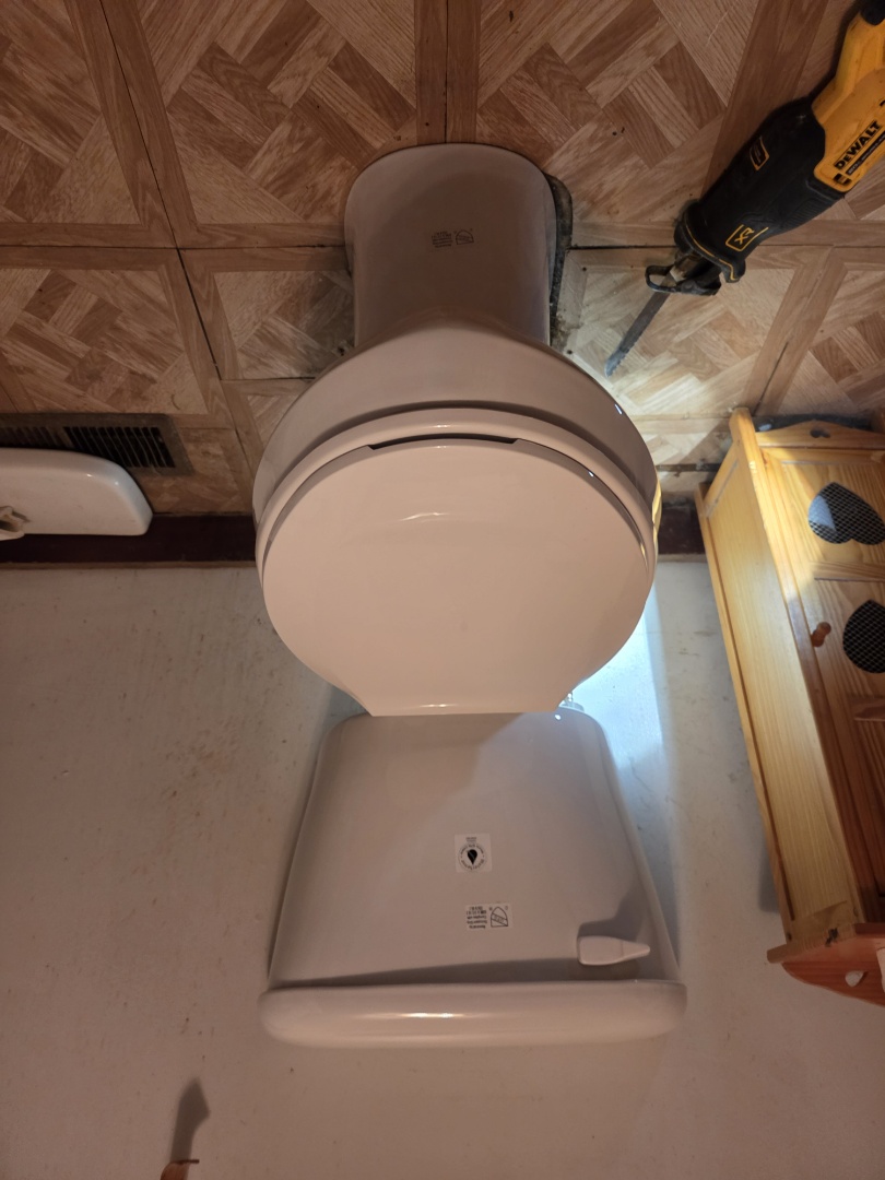 Toilet flange repair