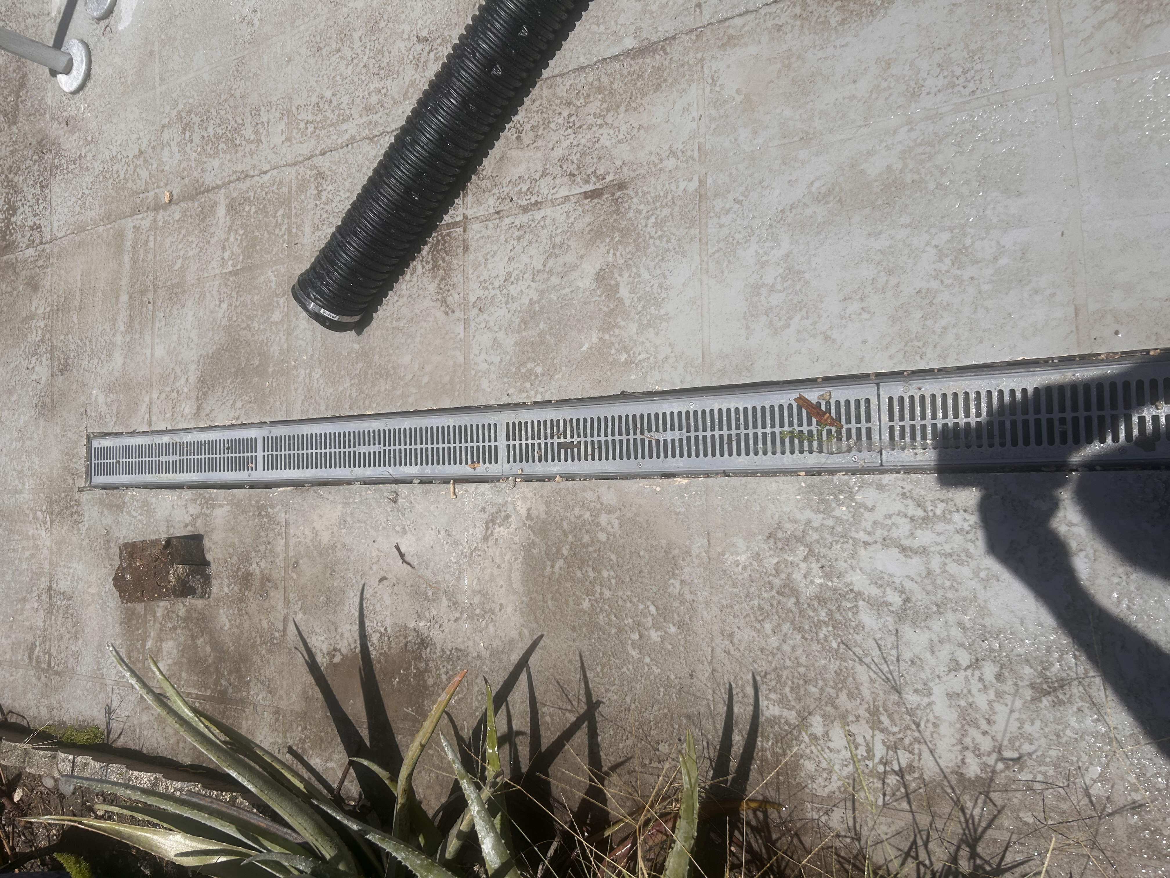 Install drains at rear yard to prevent water from pooling and flooding