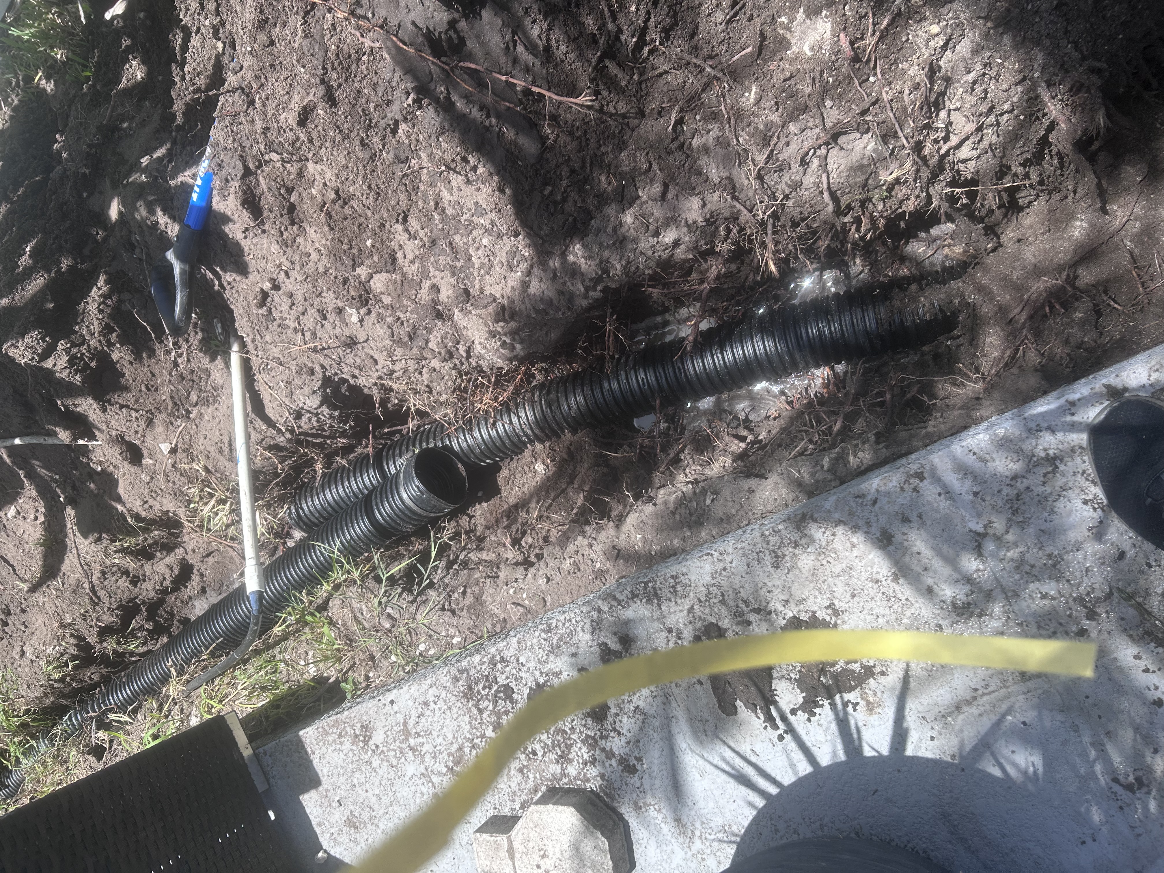 Install drains at rear yard to prevent water from pooling and flooding