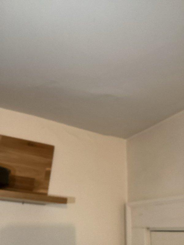 Completed prepaid maintenance visit on Triangle Tube boiler system and gas fireplace. System inspection found boiler operating normally with proper temperature settings and pressure levels. Customer reported potential water damage in kitchen after bleeding upstairs radiator; company will follow up regarding possible water line issue.