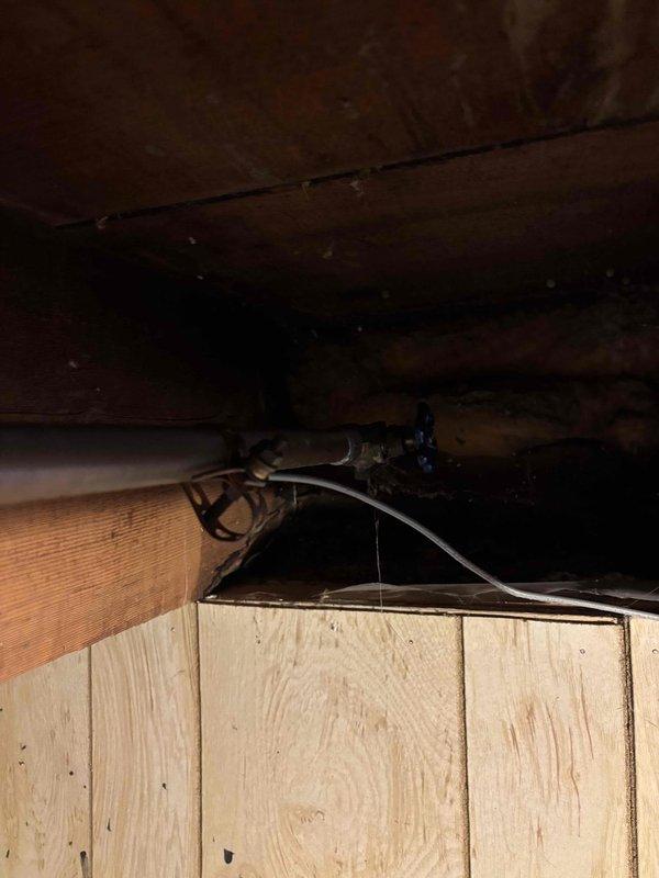 Performed scheduled plumbing maintenance service including draining water heater, winterizing exterior faucets, inspecting laundry hoses, and securing loose laundry sink faucet that was causing noise. Inspection revealed all plumbing systems in good working condition with no issues requiring additional attention.