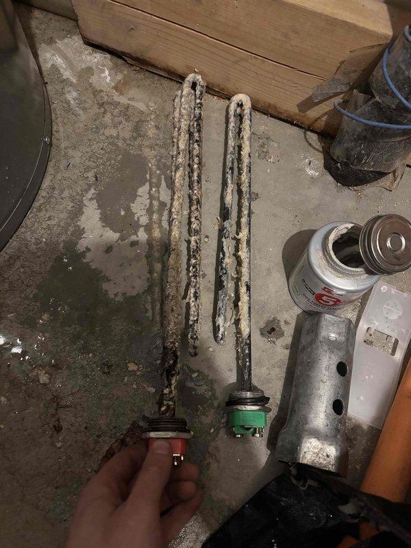 Diagnosed and serviced Rheem Professional water heater with no hot water issue. Inspection revealed a functional top heating element but a severely corroded lower heating element that had failed. Provided customer with information to obtain replacement lower element to restore proper water heater operation.