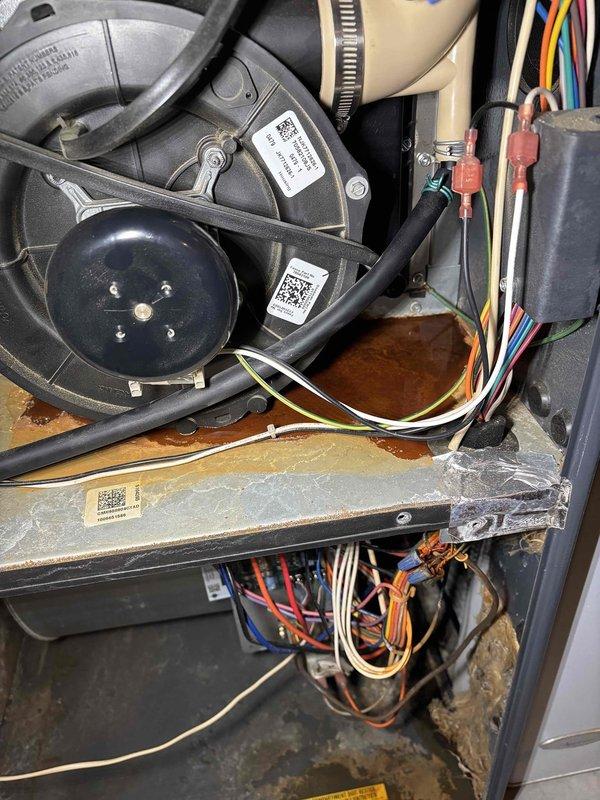 Performed heating maintenance service on 2 FR units, 1 Modine unit heater, and inspected plumbing system. Identified and diagnosed faulty zone damper and leaking collector box. Presented customer with repair options for both issues and provided estimate for zone damper replacement.