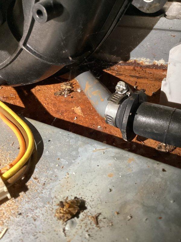 Performed annual preventive maintenance on single gas furnace system. Conducted electrical diagnostics showing appropriate voltage readings (-0.37V). Inspected mechanical components and connections including PVC piping and wiring. No issues identified requiring repair or replacement.