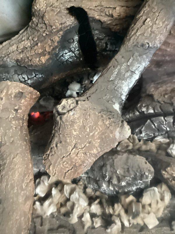 Performed scheduled preventative maintenance on heating system including one furnace and two gas fireplace units. Removed accumulated leaves from air intake that were obstructing proper airflow. Noted filter replacement needed; customer will provide new filters.