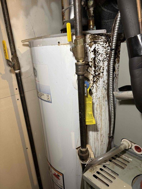 Completed scheduled Fall maintenance on customer's furnace. Observed significant corrosion and water damage on water heater components, including oxidized brass pipes, mineral buildup at connection points, and evidence of long-term moisture exposure. Documented extensive rust on nearby metal panels and recommended addressing water damage issues to prevent further deterioration.