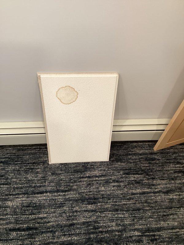 Identified the source of water stain on basement ceiling tiles, which was caused by condensation on an uninsulated cold water line, not a pressurized leak. Documented significant frost/ice buildup on the pipes. Customer (Ryan Sturtz) will handle insulation and wrapping of the affected cold line to prevent further condensation issues.