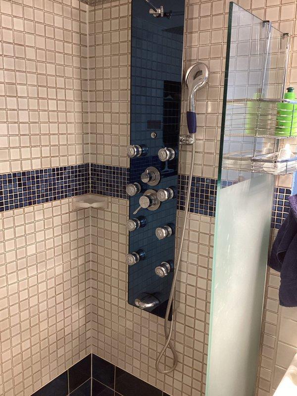 Responded to service call for no hot water in basement shower. Diagnosed frozen water line as the cause of the issue. Accessed ceiling cavity to inspect plumbing infrastructure and successfully restored hot water flow to the shower fixture.