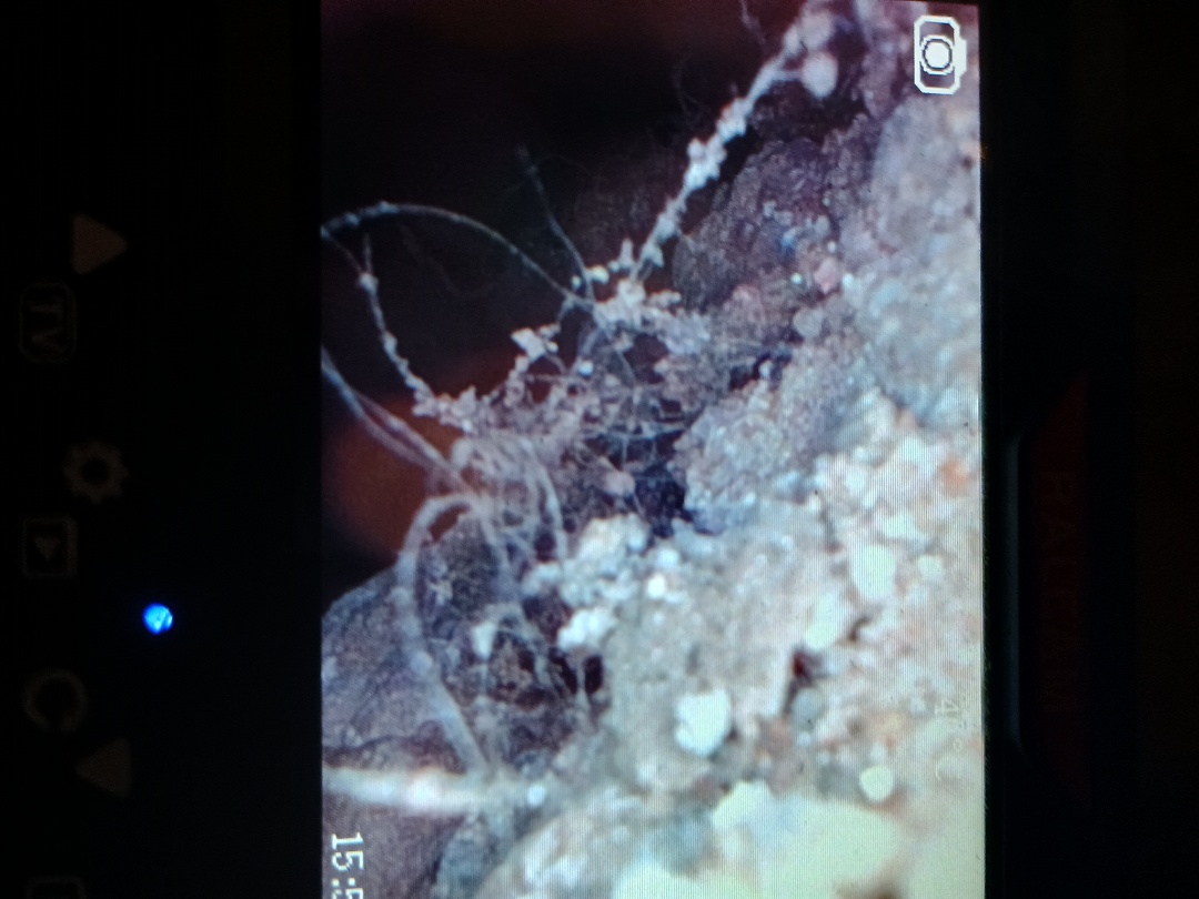 This House hasn't been heating and cooling properly after running my camera down the duct work there was so much blockage from debris.