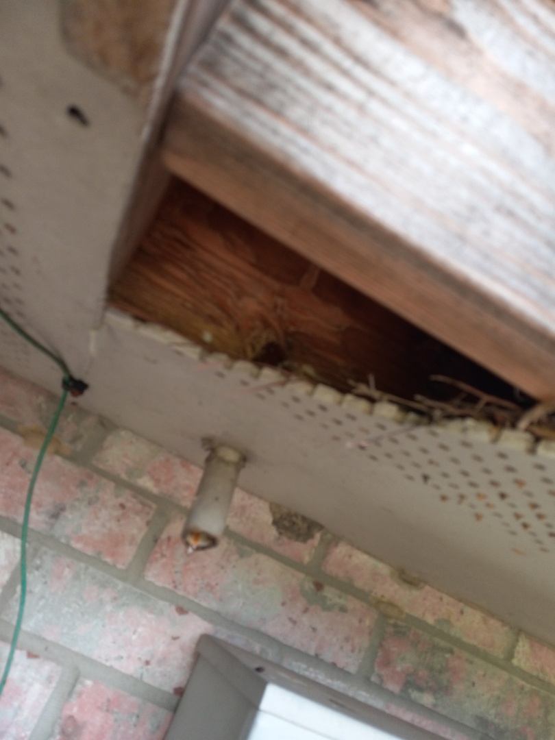 Termite and Pest Control Lake Charles LA