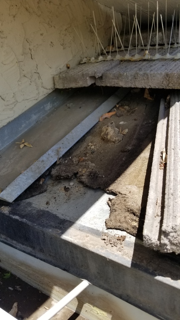 Centennial, CO - We are doing a concrete tile roof repair on an area of roofing that has felt underlayment that deteriorated prematurely. There was a flashing issue that allowed too much water to concentrate runoff onto a section of roof that allowed water to flow behind the drip metal and behind the gutter, causing the fascia to get stained Centennial, CO - We are doing a concrete tile roof repair on an area of roofing that has felt underlayment that deteriorated prematurely. There was a flashing issue that allowed too much water to concentrate runoff onto a section of roof that allowed water to flow behind the drip metal and behind the gutter, causing the fascia to get stained
