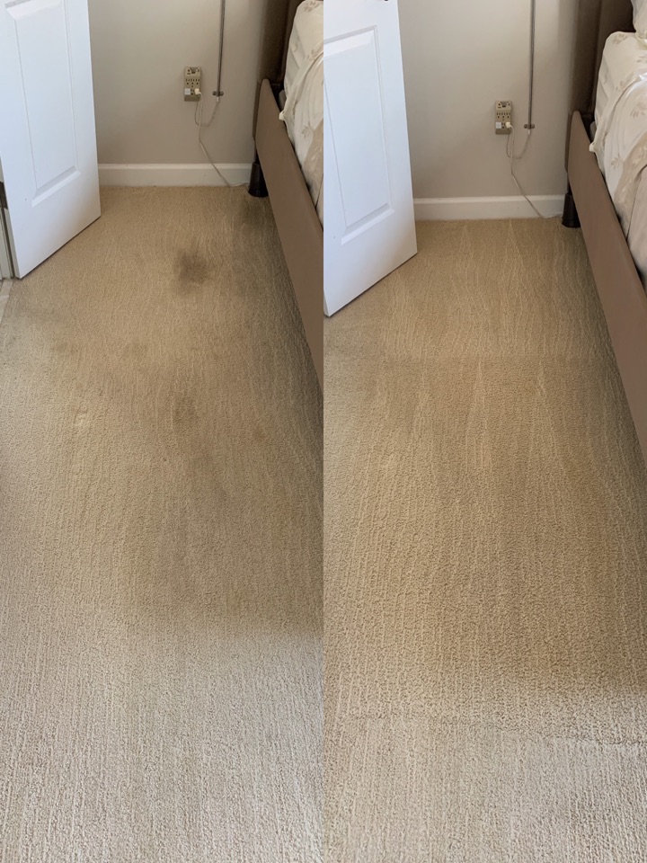 3N1 Services has been doing quality cleaning of: Carpets, upholstery, rug washing, rug repairs, tile & grout cleaning, grout color sealing, marble & stone restoration.