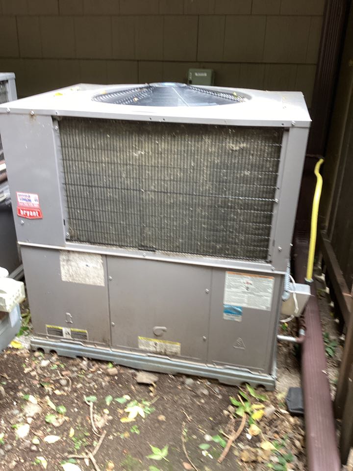 Bryant gas package unit maintenance in Wayzata
