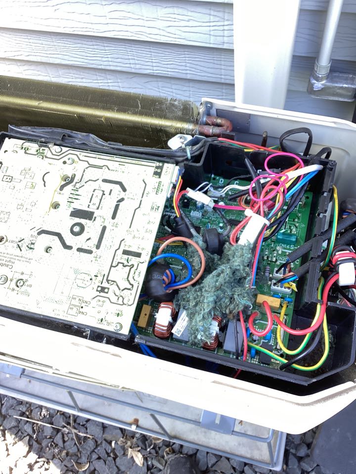 Bryant ductless service in Montrose