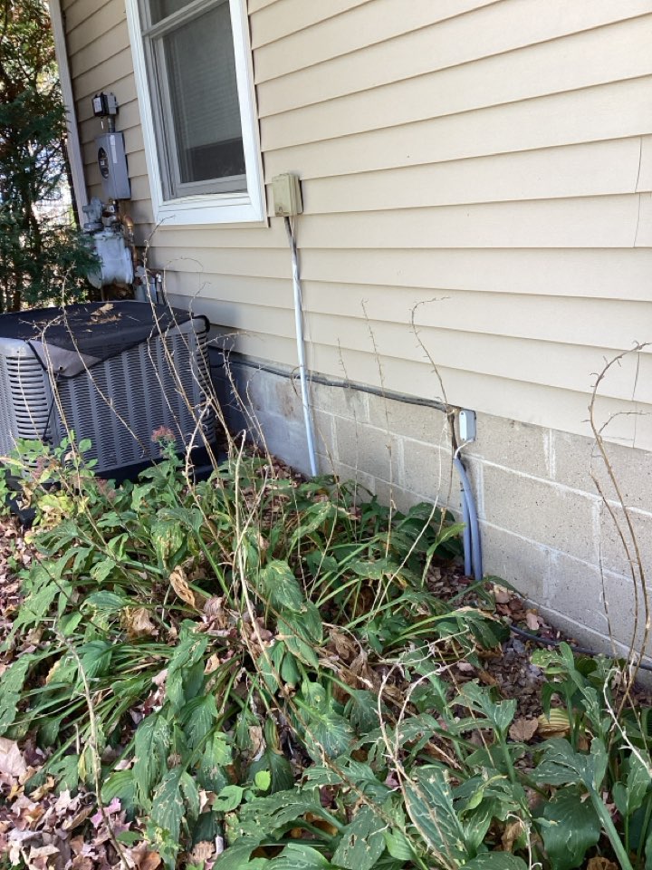 Plugged and removed old gas line in Delaano Mn