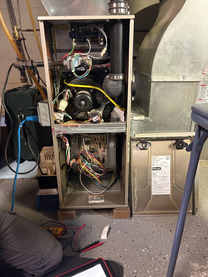 Diagnosis furnace fault- Rockford MN