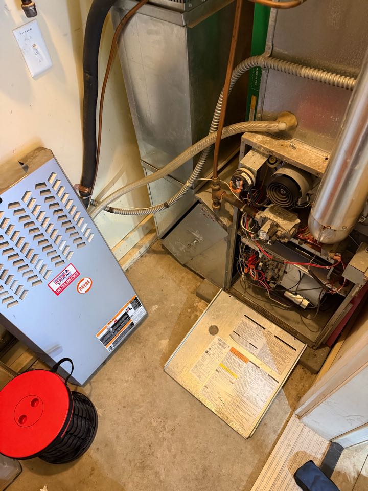 Diagnosing furnace fault in Orono, MN