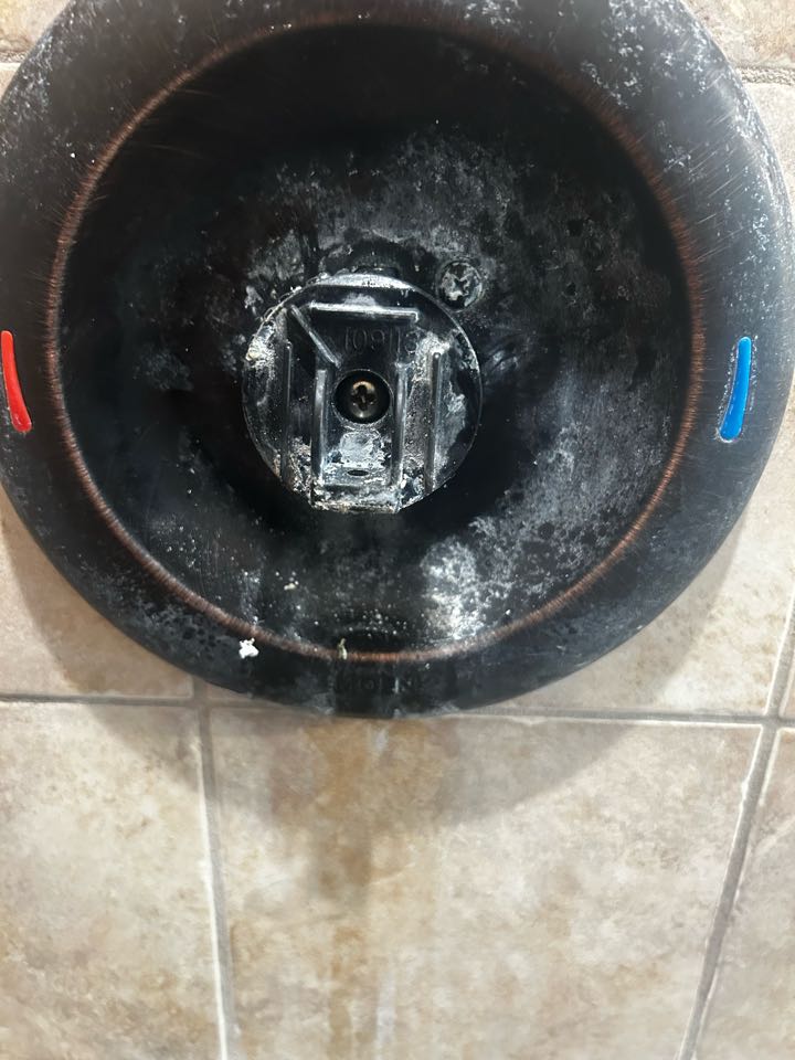 Shower handle repair Flourtown PA