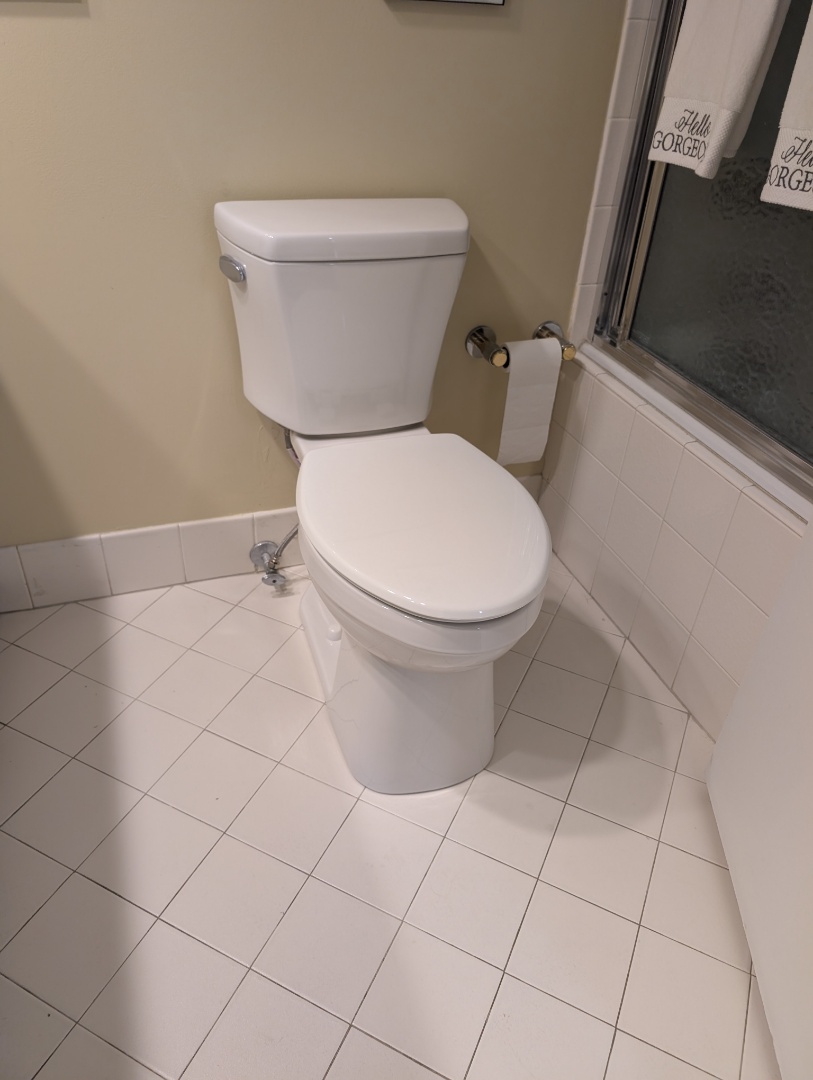 

new toilet. replace toilet. leaking toilet. replace and install new toilet. bathroom plumbing repair. PlumbPRO Services. Conshohocken, PA. 