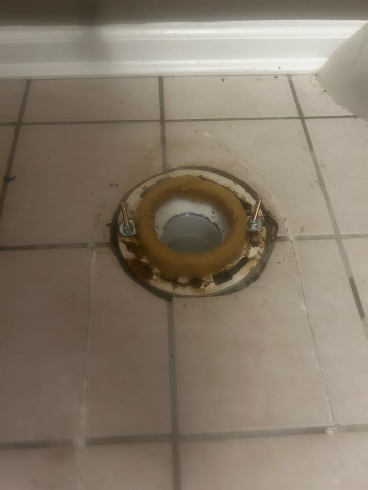 Toilet replacement new Hope PA