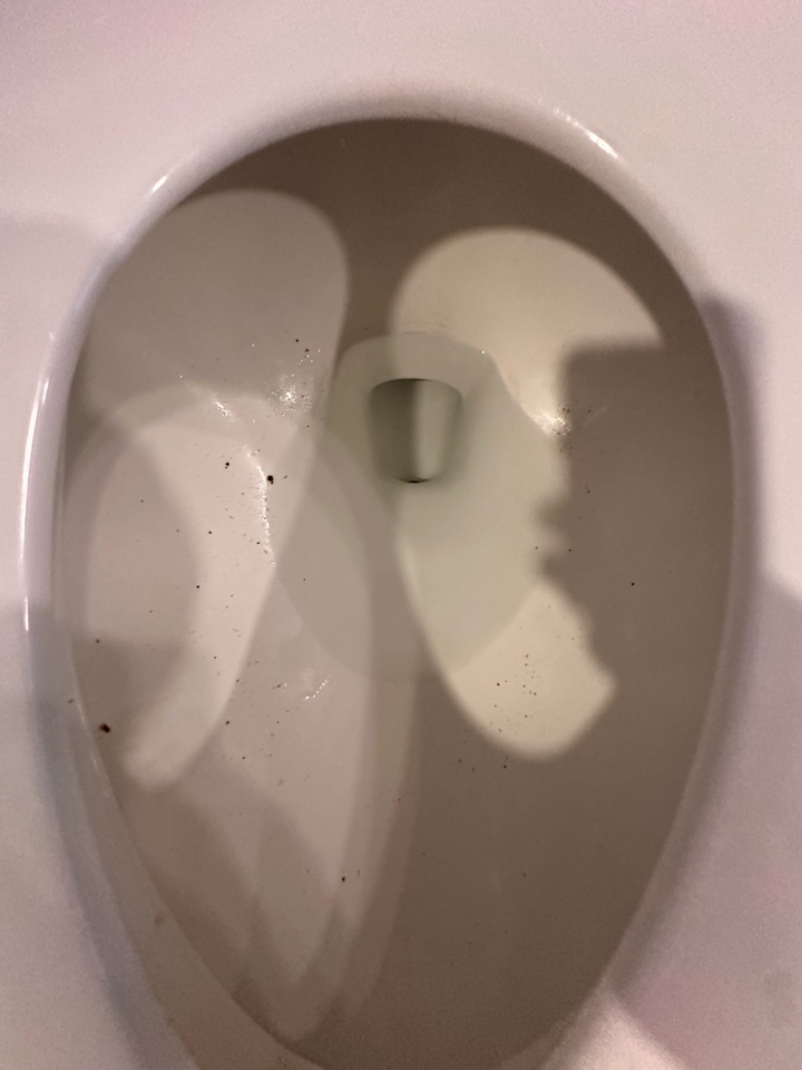 Toilet cleared in Ambler PA. Plumbing. Plumber.