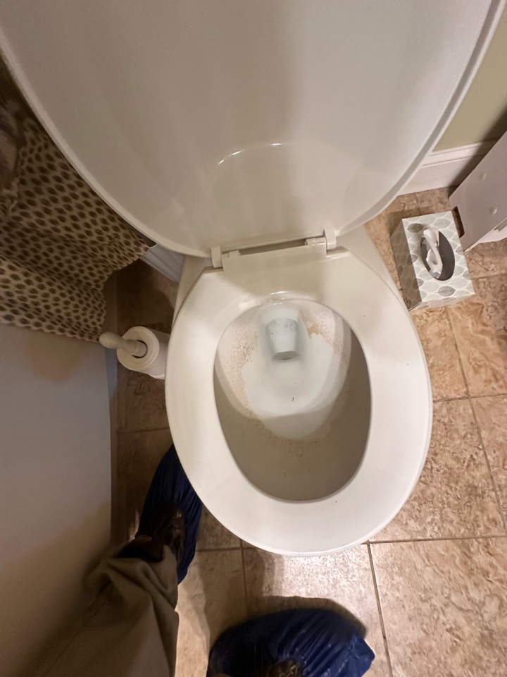 Toilet auger in Ambler PA. Plumbing. Plumber.
