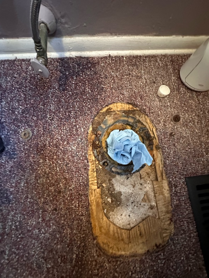 Sewer evaluation in Warminster PA. Plumbing. Plumber.