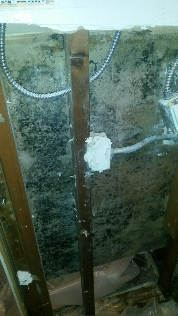 Salt Lake City, UT - Mold cleanup in Salt Lake City Utah. The inside of walls will almost always have more mold than the outside of the wall, sometimes a lot more! This wall that we just opened up has a lot of mold.
http://www.thefloodco.com/salt-lake-county-utah.html 801-294-7452 Salt Lake City, UT - Mold cleanup in Salt Lake City Utah. The inside of walls will almost always have more mold than the outside of the wall, sometimes a lot more! This wall that we just opened up has a lot of mold.
http://www.thefloodco.com/salt-lake-county-utah.html 801-294-7452