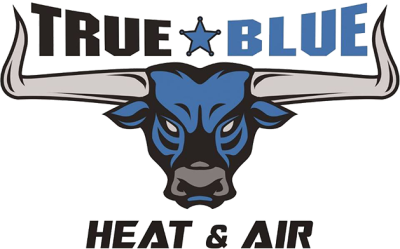 True Blue Heat and Air LLC