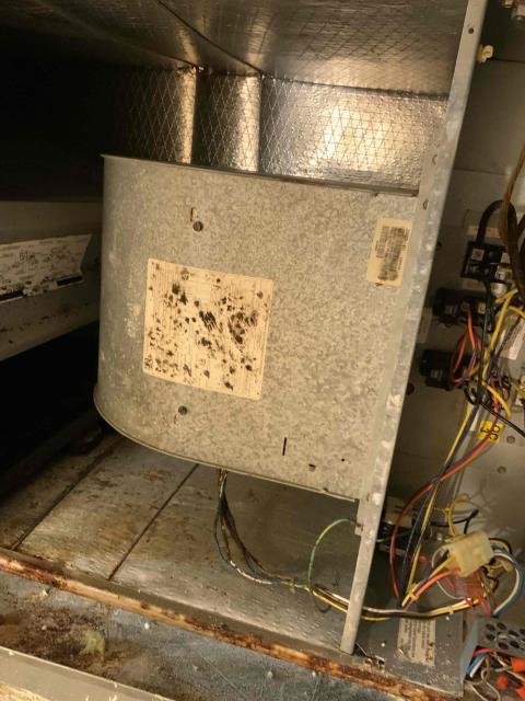 I am a highly skilled and experienced home service professional. I recently completed a job at a customer's home where I replaced a blower motor and inspected another unit. Upon arrival, I noticed a high-pitched noise coming from the Amanda unit. I opened it up and found that the blower motor was on its last legs. I also checked the pressures on the carrier unit and found them to be good. The customer paid $205 for the blower motor and $680 total for today's work.
