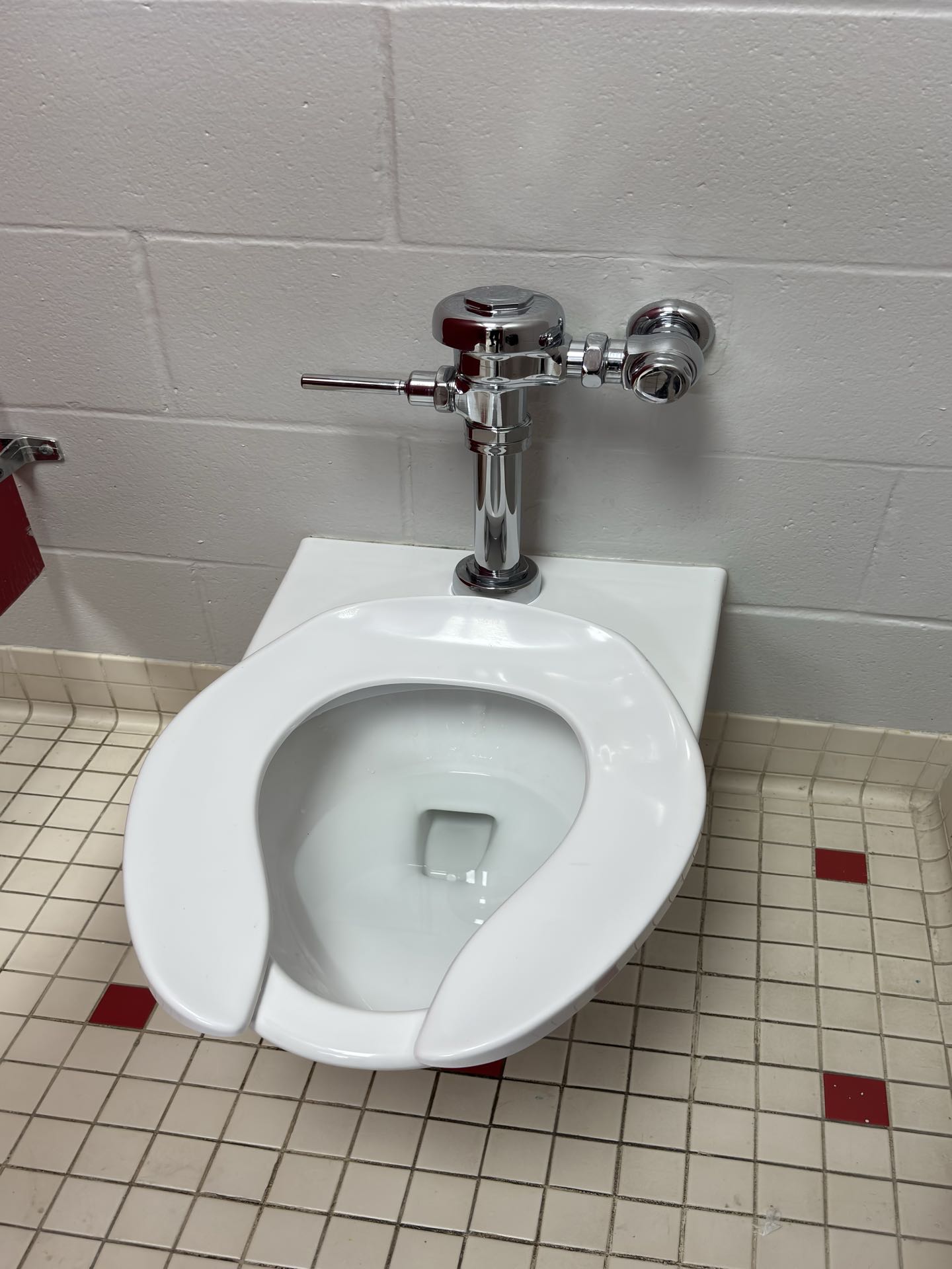 Sugar Land, TX - Replaced flush valves for commercial toilets and repaired a leak on a commercial faucet. 