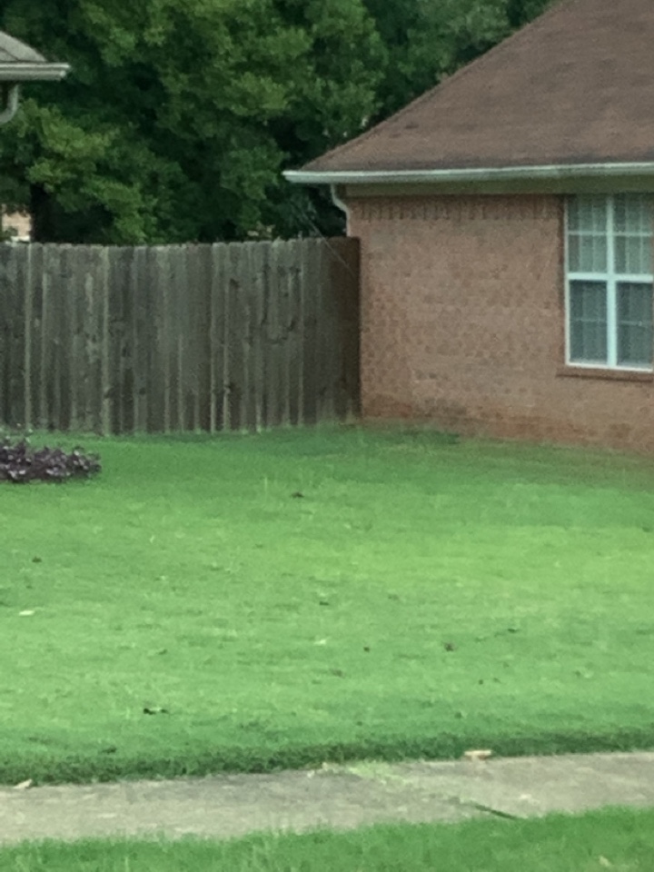 Ac drain repair maintenance tuneup clean condenser coil repair filter replacement system service air furnace heat heater 